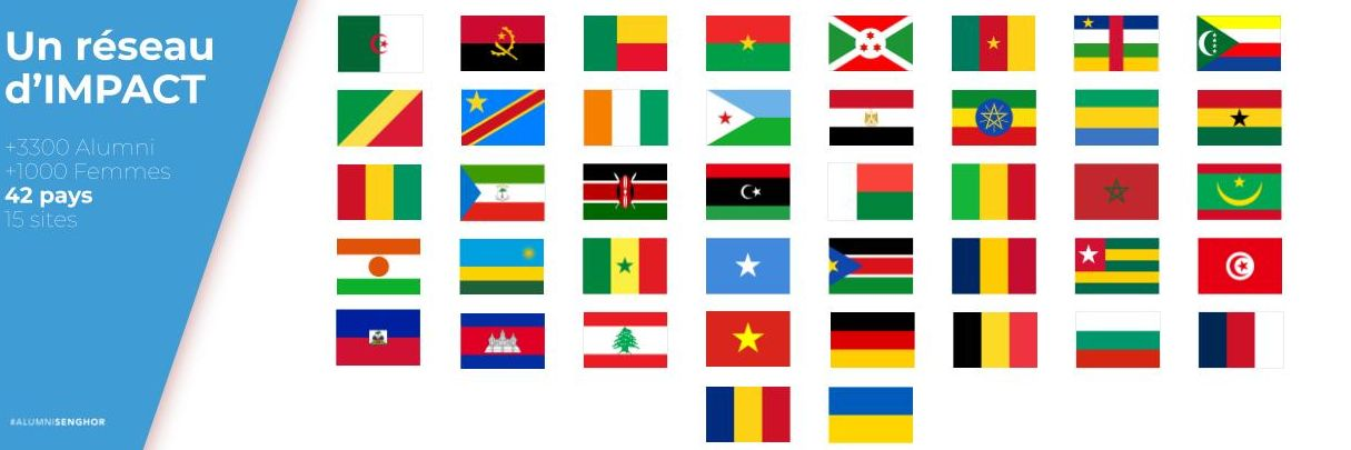 Image panoramique des drapeaux des pays du programme Alumni